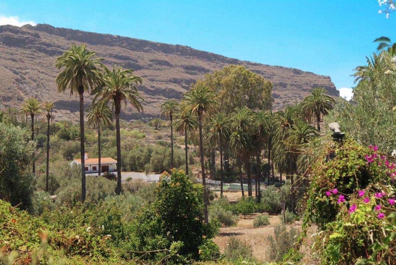 Casa Rural El Olivar La Almazara Santa Lucia De Tirajana Exterior foto