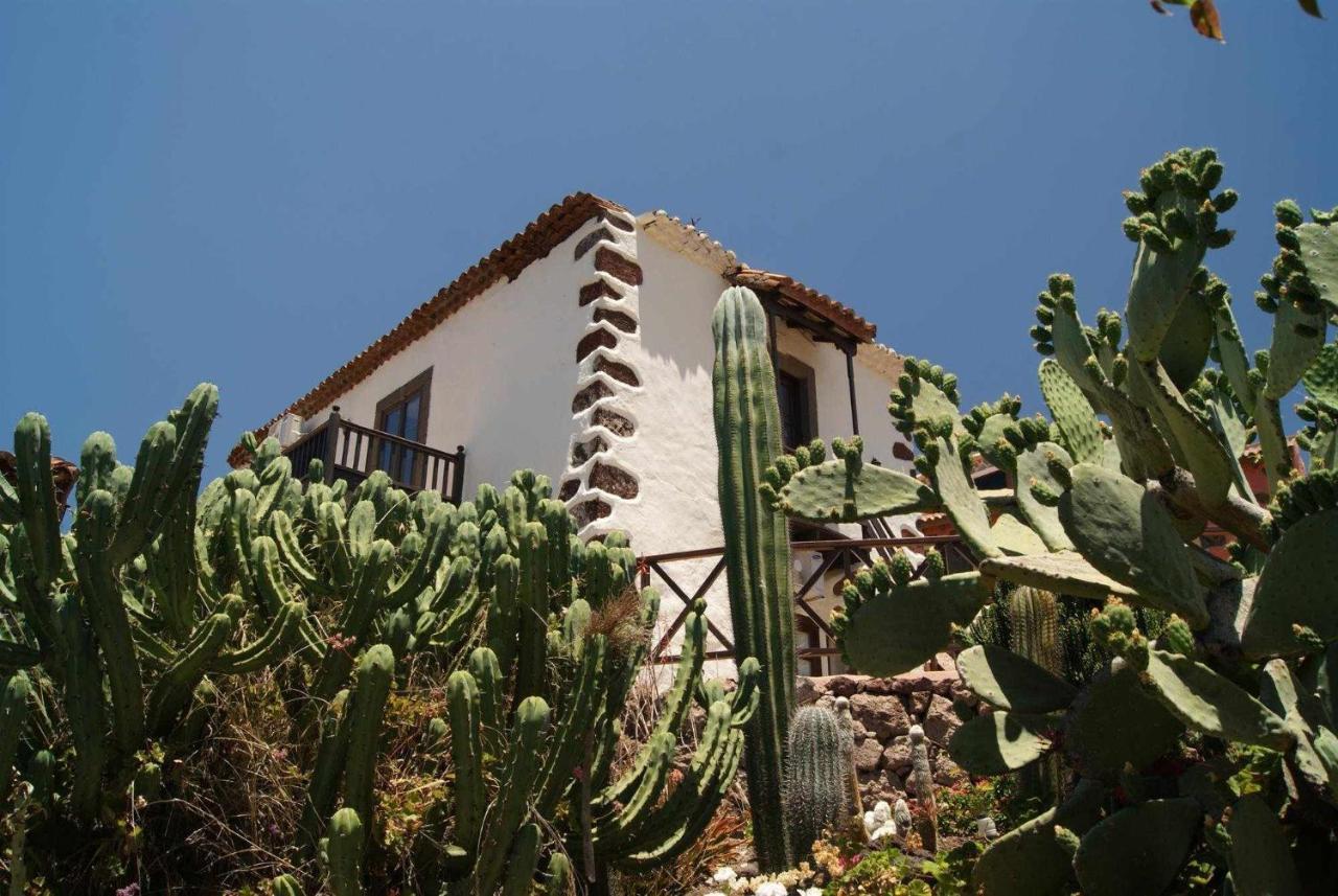 Casa Rural El Olivar La Almazara Santa Lucia De Tirajana Exterior foto